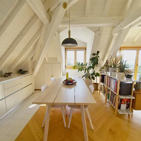 Attic - Penthouse 2 Bedrooms