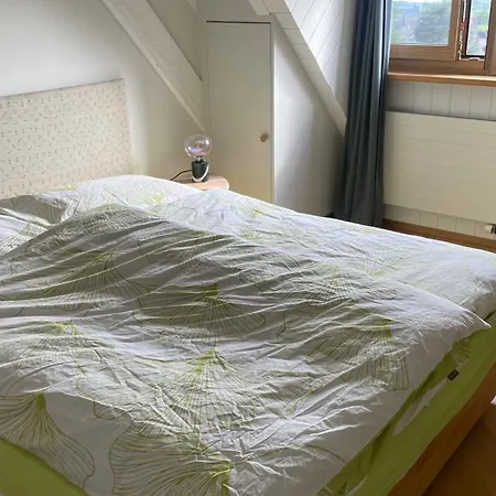 Attic - Penthouse 2 Bedrooms Apartment