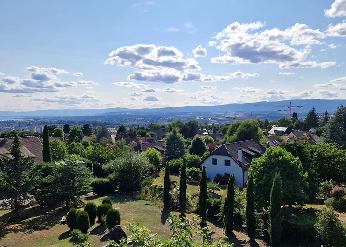 Attic - Penthouse 2 Bedrooms Apartament Crissier