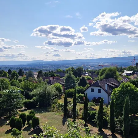 Attic - Penthouse 2 Bedrooms Lägenhet Crissier